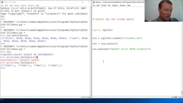 Python Basics Tutorial Sqlite One Column Sql Query смотреть онлайн