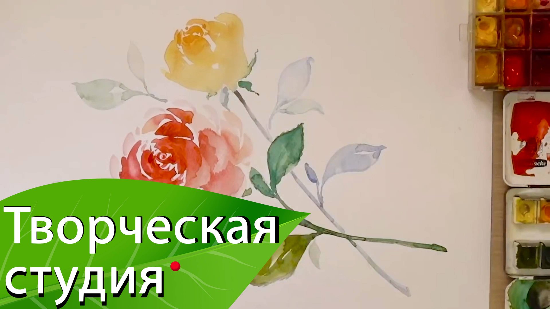 Акварель. Розы