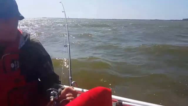 Риф Тритон 390F смотреть онлайн