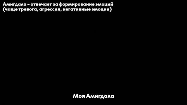 [RUS SUB/Перевод] Agust D – AMYGDALA MV смотреть онлайн