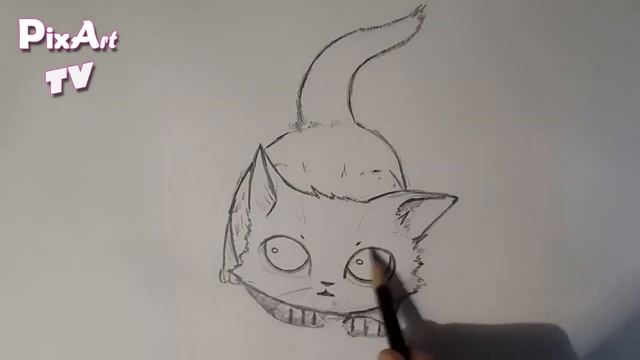Как нарисовать маленького котенка аниме | Как нарисовать кошку или кота смотреть онлайн