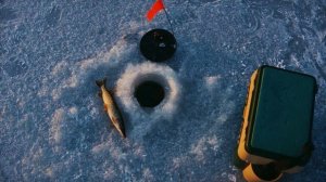 Календарь ловли щуки Когда и как ловить щуку