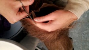 Система  волос. Как обрезать  сеточку?