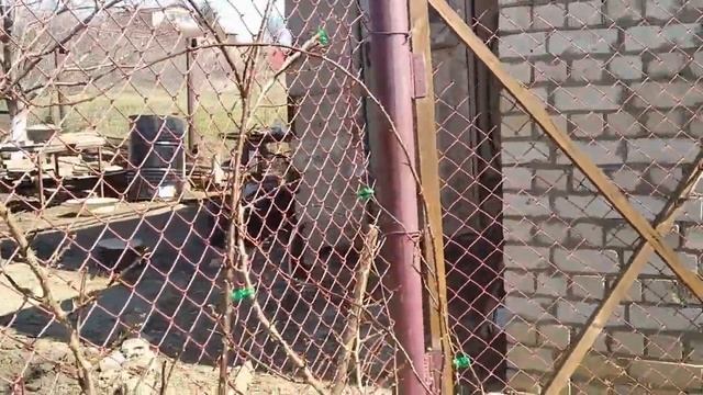 Живем на даче в апреле . смотреть онлайн