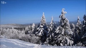 Стая волков и одинокий ребенок. Истории про волков. Таежные истории, рассказы про животных