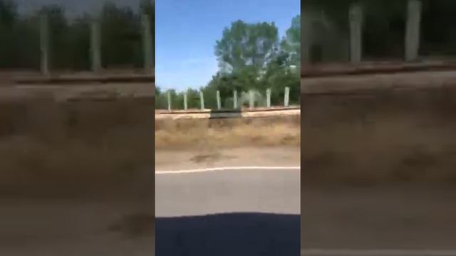 Дорога Херсон Антоновский мост Олешки смотреть онлайн
