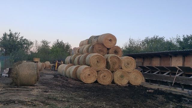 как можно кучковать сено в рулонах на мини-погрусчике какмксм 800 обычными вилами смотреть онлайн