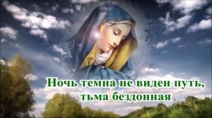 5. Богомолица (минус)