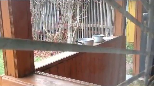 Семейная идиллия на огороде смотреть онлайн