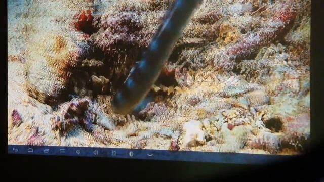 DLP 3d Projector | DLP 3D-проектор | DLP 3D Projector | DLP Proyector 3D - Luxcine Z2000sd