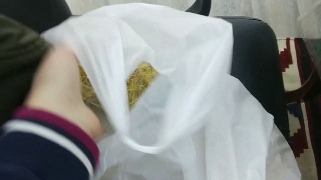 УКРАШАЕМ ДОМ ? 2023 НАРЯЖАЕМ ЁЛКУ ? смотреть онлайн