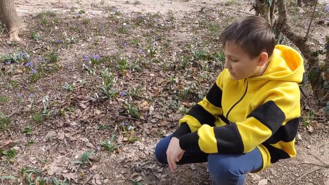 Берегите первоцветы смотреть онлайн