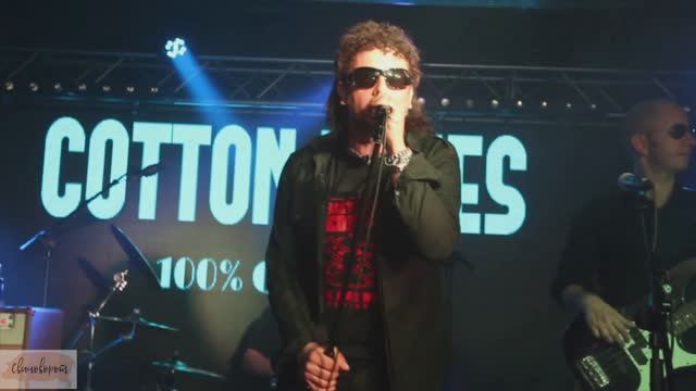 Ватный блюз (Cotton Blues)