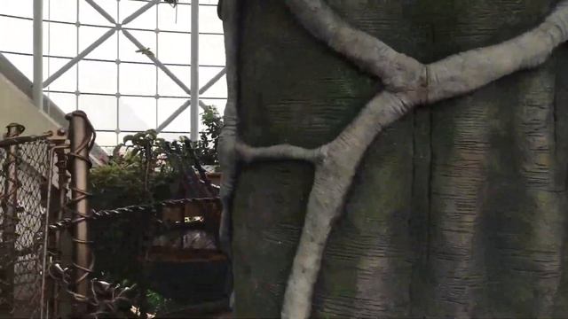 Что посмотреть в Дубае GREEN PLANET DUBAI CITY WALK Зеленая Планета ДУБАЙ Тропические Лес и Зоопарк смотреть онлайн