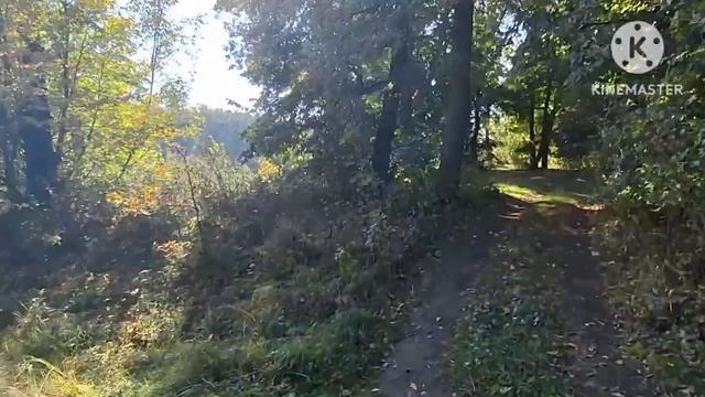 Во сне ли, наяву, душа моя летает. Хочу взлететь повыше, да тело не пускает...