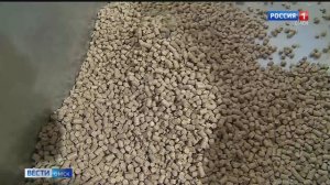 В одной из омских колоний из опилок производят наполнитель туалетов для животных