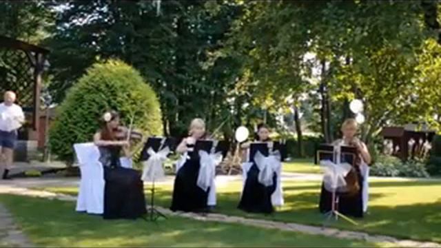 Видео квартета Le Violon