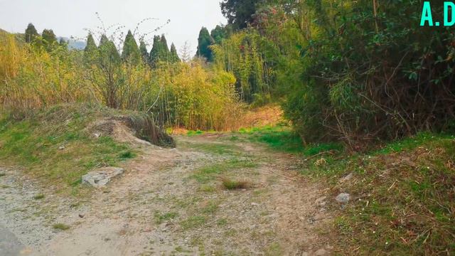 Darjeeling Tiger Hill Ma Camping Son And Dad. (cooking, Camping $surviving For Water).