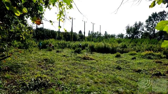 Krasnystaw смотреть онлайн