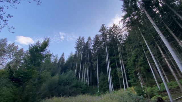 Прогулка по Оденвальду. Озеро Марбах (нем. Odenwald, Marbach - Stausee) смотреть онлайн
