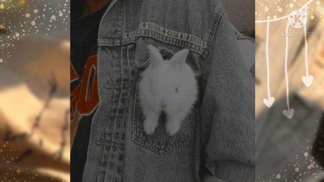 -эстетичные аватарки♡| ~By French Teddy?? смотреть онлайн