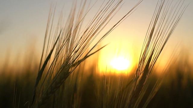 Июльский закат July sunset смотреть онлайн