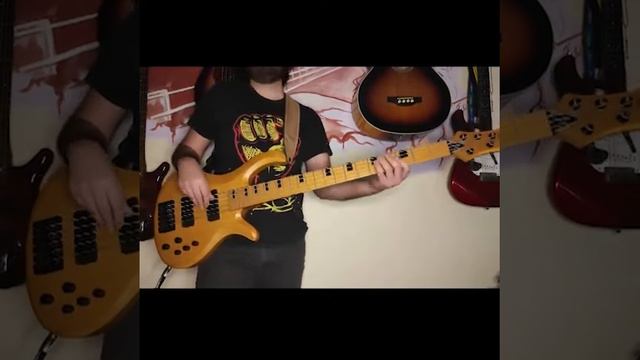 Schecter Riot 5 session / Test #bass #bassreggae смотреть онлайн