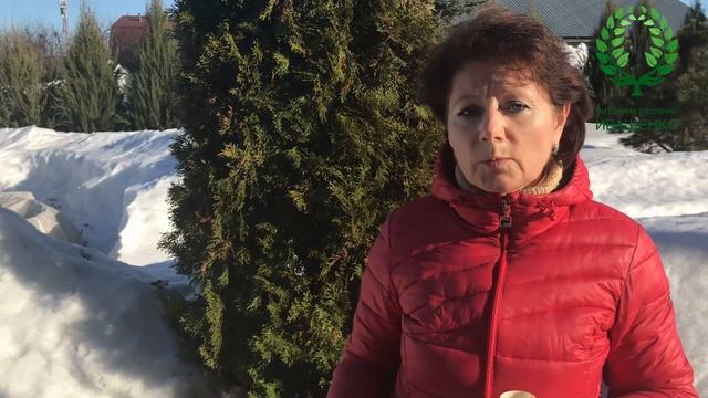 Как защитить ХВОЙНЫЕ от солнечных ожогов смотреть онлайн