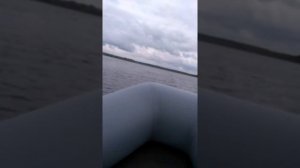 Лодочный мотор Hdx T 5 Bms двухтактный.  Выход на глиссер за считанные секунды.