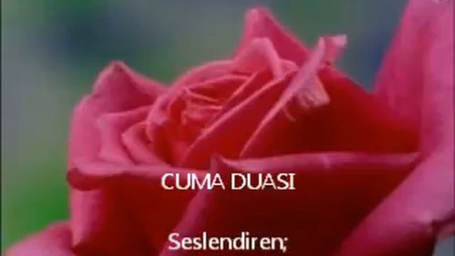 Не знаю как у вас есть еще один вариант. Здесь плво смотреть онлайн