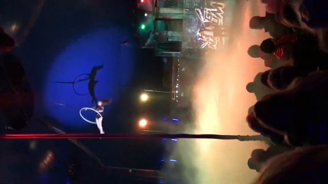 Воздушные Гимнасты Цирк Империал Клуб «Тэнгу Про» Самооборона и Подготовка бойца