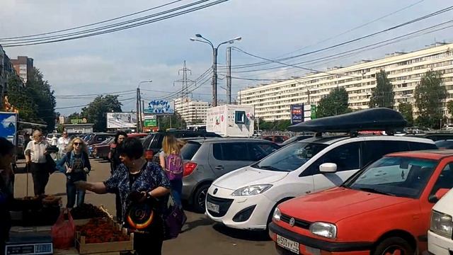 Пионерская метро смотреть онлайн