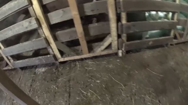 Первый ремонт свинарника смотреть онлайн