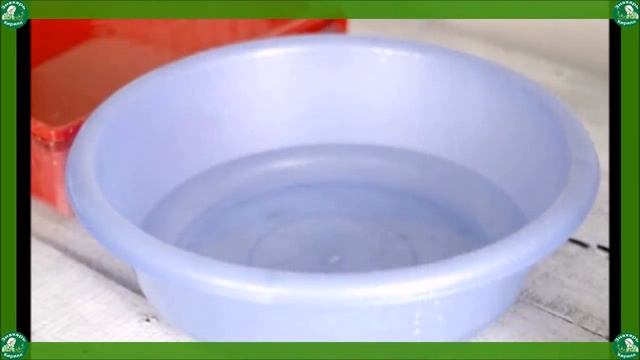 ЗАЩИТЕ СЕБЯ ОТ ГРИППА!+ РЕЦЕПТ ОТ ГРИППА,КАШЛЯ И ЗАЛОЖЕННОСТИ НОСА. ??☕