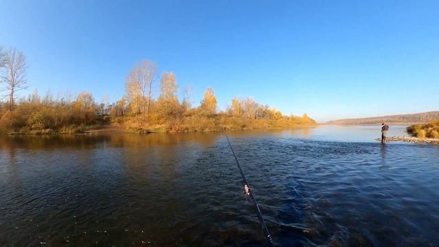 Рыбалка, осенняя река Томь, Рыбалка в Кузбассе осенью, хариуса не поймали, отдохнули супер #Fishing