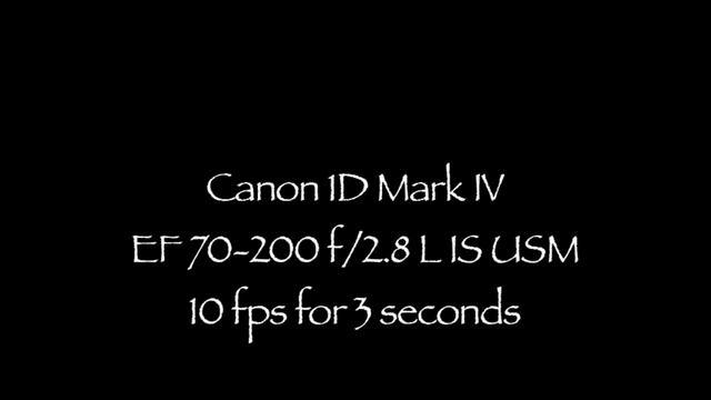 Canon 1D Mark IV @ 10 fps смотреть онлайн