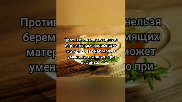 11 сентября 2023 г. смотреть онлайн