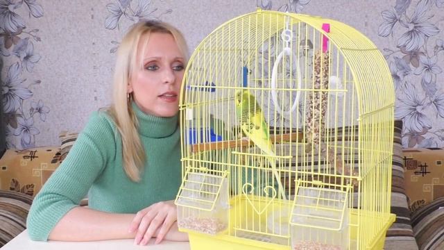 ПЛЮСЫ и МИНУСЫ СОДЕРЖАНИЯ ВОЛНИСТЫХ ПОПУГАЕВ/ ПОКУПАТЬ или НЕТ ВОЛНИСТОГО ПОПУГАЙЧИКА смотреть онлайн