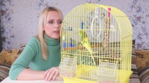 ПЛЮСЫ и МИНУСЫ СОДЕРЖАНИЯ ВОЛНИСТЫХ ПОПУГАЕВ/ ПОКУПАТЬ или НЕТ ВОЛНИСТОГО ПОПУГАЙЧИКА