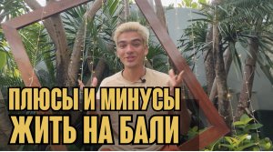 ПЛЮСЫ И МИНУСЫ ЖИТЬ НА БАЛИ | Честный обзор