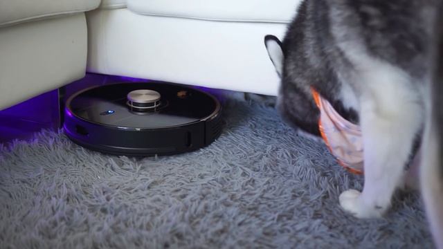 Meeka Reacts To A Talking Robotic Vacuum! (SHE ARGUES!) смотреть онлайн