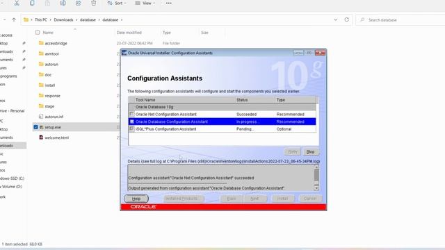 How to Download and Install Sql plus on Windows 10 and Windows 11 | Oracle 10g || SQL Software 2023 смотреть онлайн