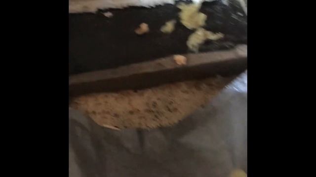 Ошибки при утеплении пола