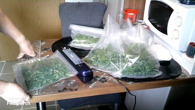 Щавель на зиму смотреть онлайн