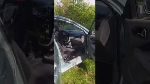 Сиденья БМВ Е90 в Шевроле Лачетти.Харьков.