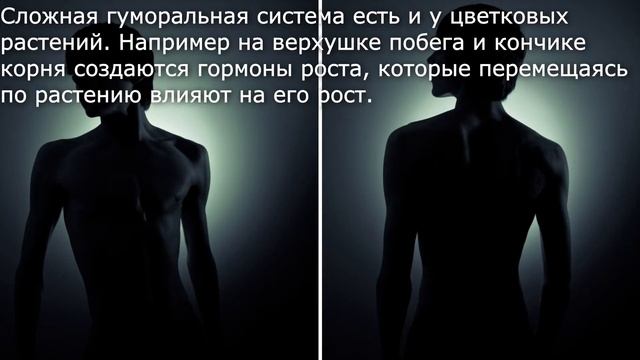 37. Гуморальная регуляция. Биология 5-6 класс - Пасечников В.В. Краткий пересказ. смотреть онлайн