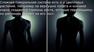 37. Гуморальная регуляция. Биология 5-6 класс - Пасечников В.В. Краткий пересказ.