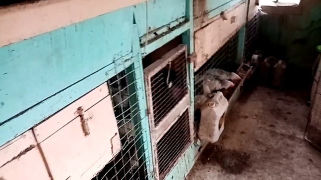 Самоуправство местных властей!!! Чем ниже чиновник, тем больше он мнит себя королём! 🤐 смотреть онлайн