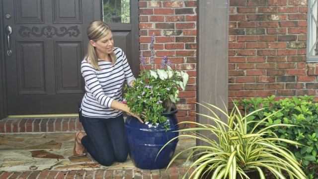 Styling Your Front Porch for the Fourth смотреть онлайн