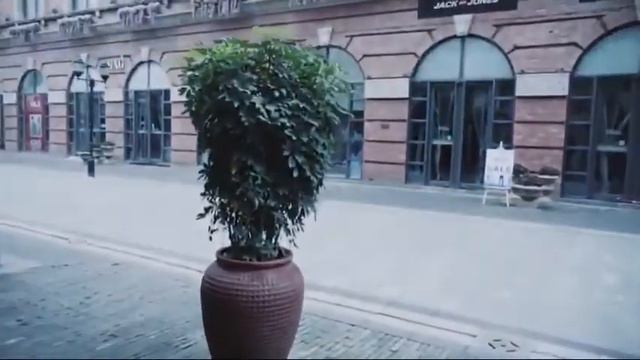 Китайский новый год 2020 смотреть онлайн
